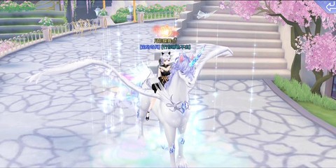 qq炫舞坐骑怎么得