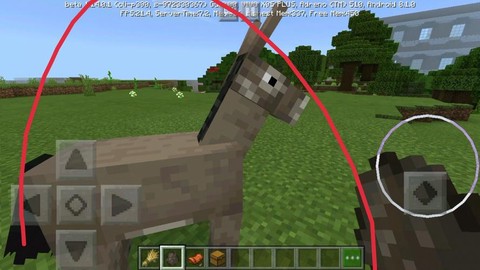 我的世界驴有什么用