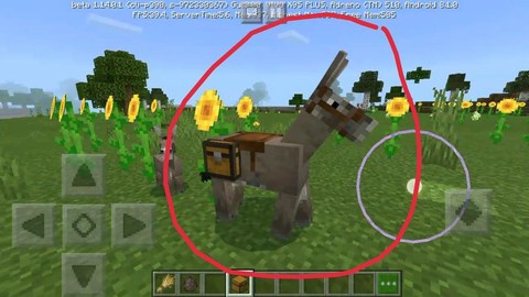 我的世界驴有什么用[图1]