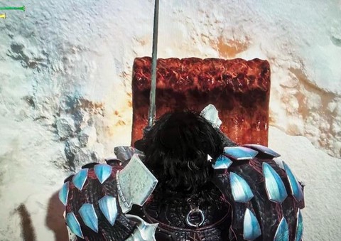 怪物猎人4怎么烤肉