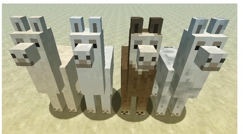 我的世界羊驼怎么用[图1]