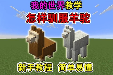 我的世界羊驼怎么用[图2]