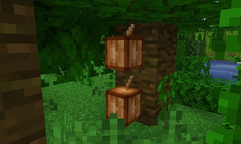 我的世界可可豆有什么用[图2]