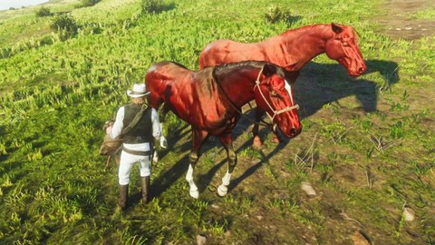 荒野大镖客怎么叫马