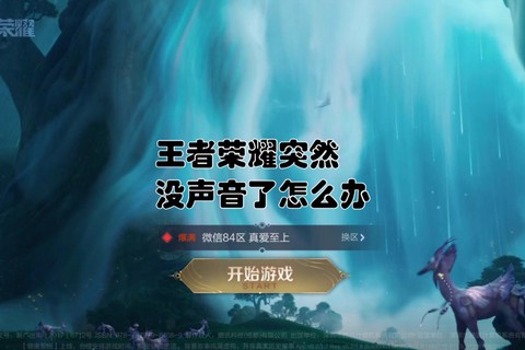 为什么王者荣耀没声音[图2]