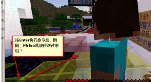 我的世界如何传送到别人[图2]