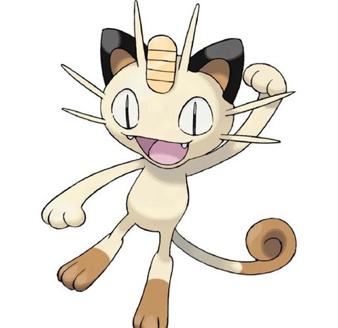 神奇宝贝喵喵是什么猫[图1]