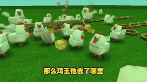 迷你世界的鸡吃什么