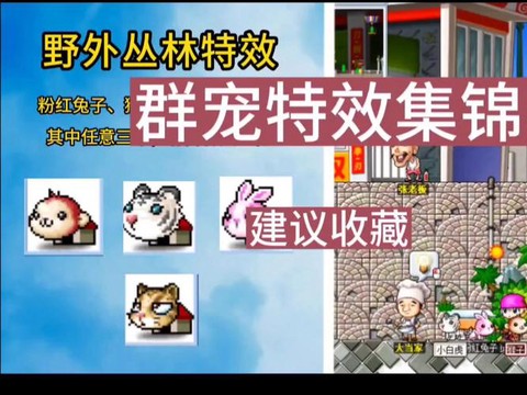 冒险岛2宠物怎么用