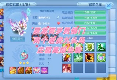 神武坐骑什么性格好